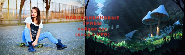 гидропоника Осинники