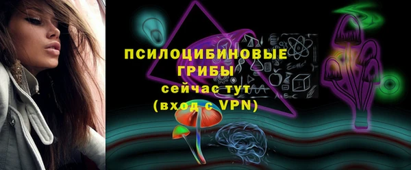 гидропоника Осинники