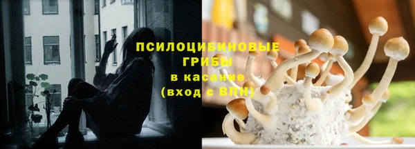 гидропоника Осинники