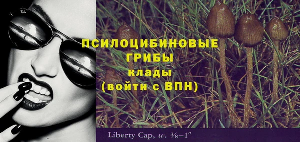 кокс Осташков