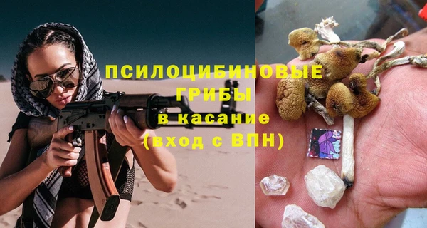 гидропоника Осинники