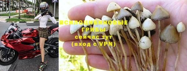 гидропоника Осинники