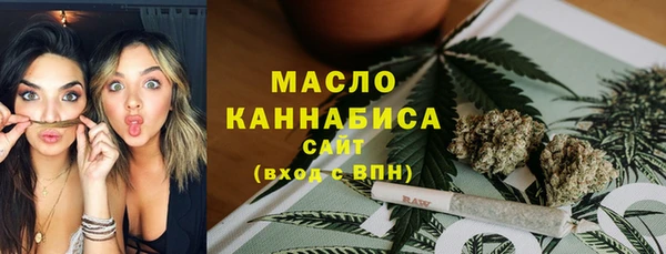 мдпв Пестово