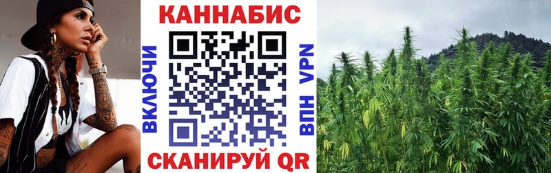 Конопля White Widow  Юрьев-Польский 
